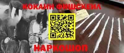 гидропоника Камышлов
