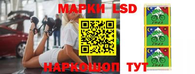 гидропоника Камышлов