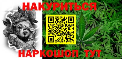 гидропоника Камышлов