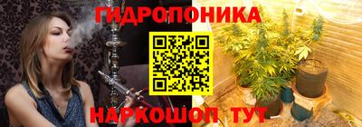 гидропоника Камышлов
