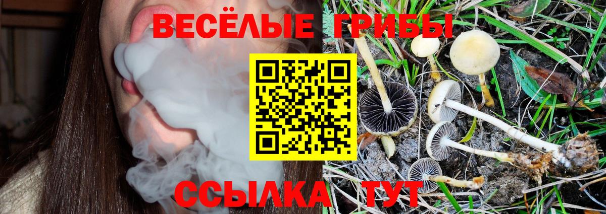 Псилоцибиновые грибы MAGIC MUSHROOMS Коркино